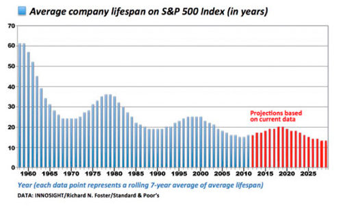 Average Company Lifespan