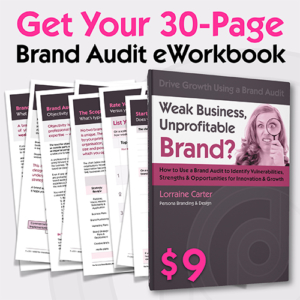 Brand Audit Workbook
