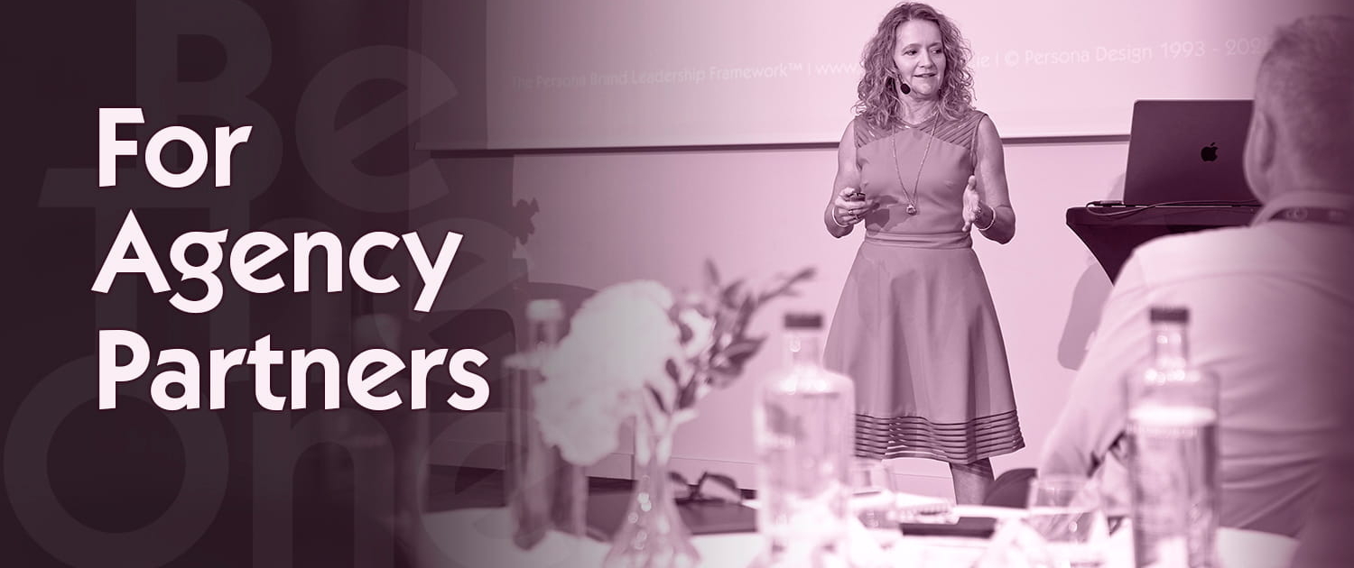 For Agency Partners — Senior Leadership Alignment Support