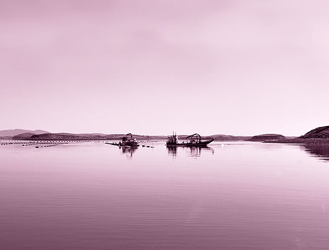 export-market-strategy-international-sme-650x500px export market strategy